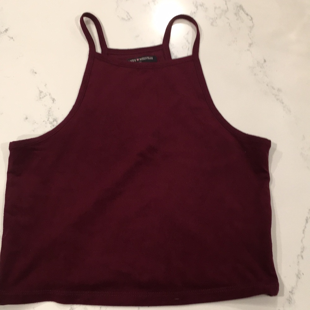 Brandy Melville cropped velvet tank top